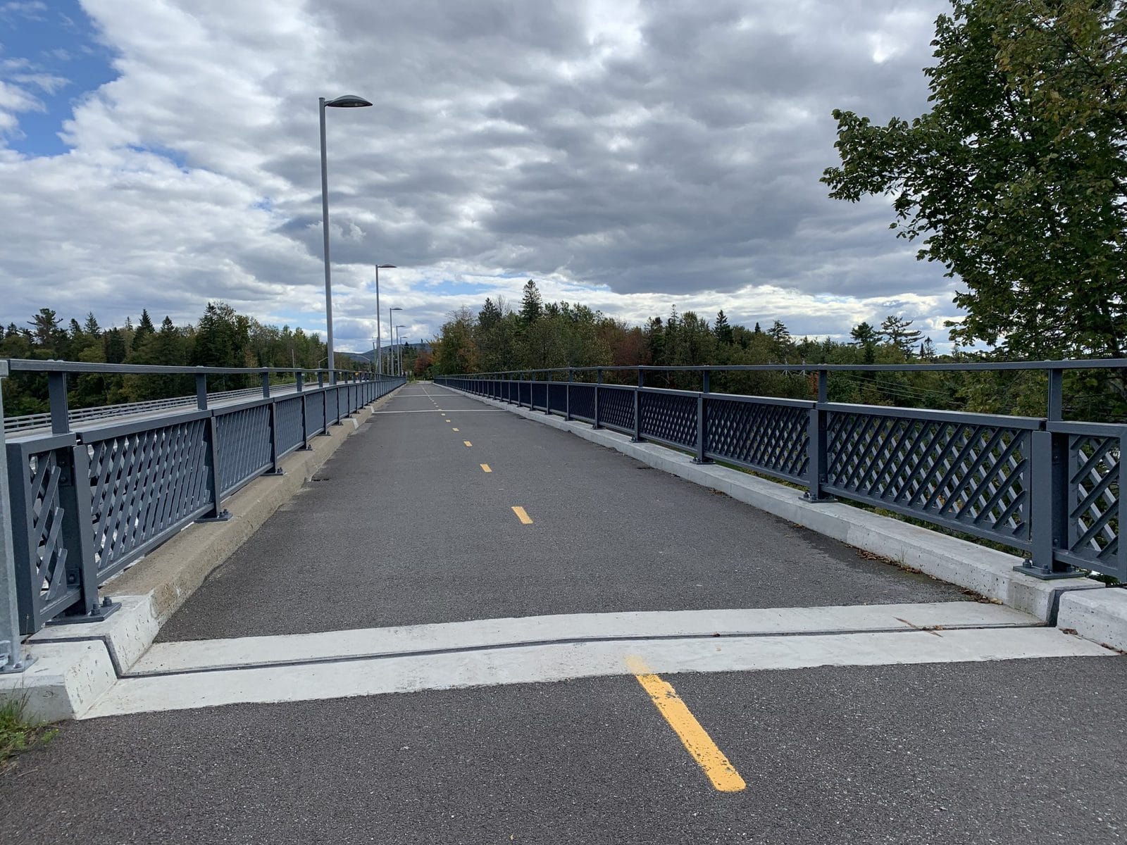 Garde-corps_patrimonial_galvanise_et_peint_-_Pont_Shannon_(3)